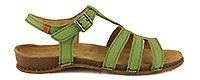PANGLAO T STRAP LICHEN - El Naturalista