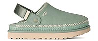 GOLDENSTAR MEADOW ARTICHOKE - UGG