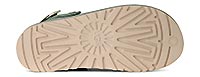 GOLDENSTAR MEADOW ARTICHOKE - UGG